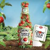 Heinz дает британцам возможность самостоятельно выращивать томаты