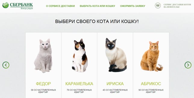 Как продать квартиру с помощью котов: проект Mosaic и Maxus для «Сбербанка»