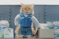 Говорящий кот-мерчендайзер в рекламе молочных продуктов