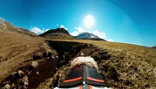 Туристов на Фарерские острова привлекают видео с камер на пасущихся овцах