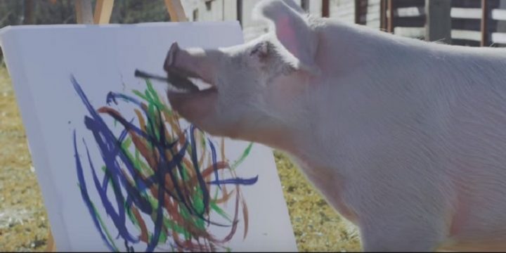 Свинья нарисовала новую рекламу Nissan