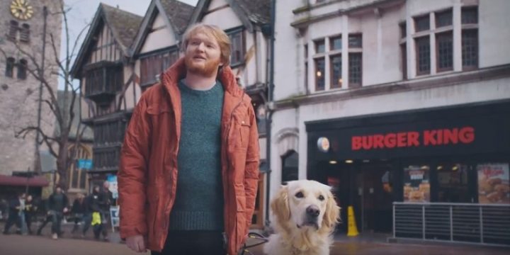 Burger King обучил собаку-поводыря находить воппер