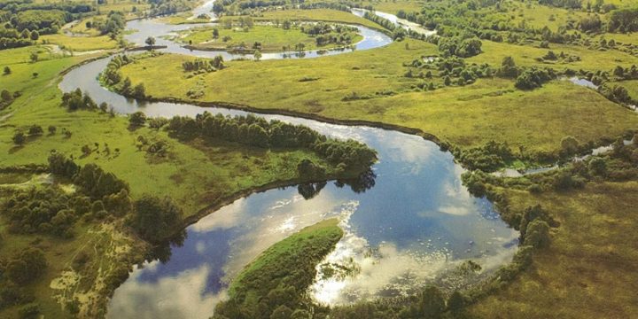 «Чиста вода»: В Україні створили онлайн-карту забрудненості річок