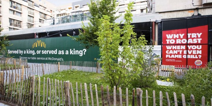McDonald’s и Burger King потроллили друг друга в наружной рекламе в Бельгии