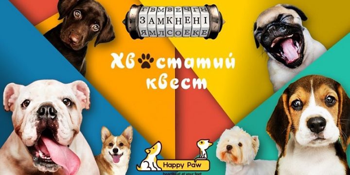 «Замкнені» спільно з «Happy Paw» провели перший в Україні благодійний квест з песиками