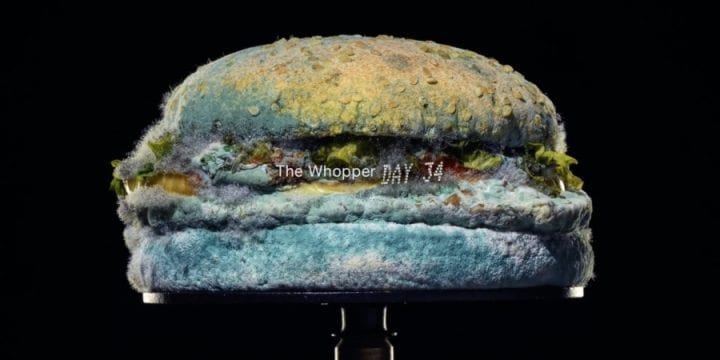Burger King рекламируется с помощью заплесневевшего воппера