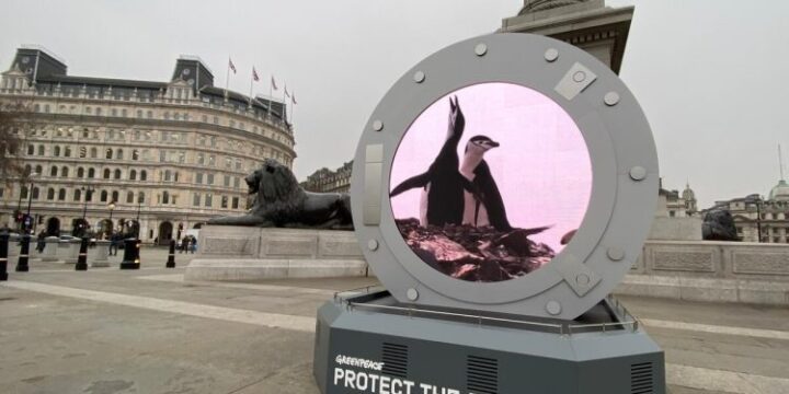 Greenpeace відкрив посеред Лондона «портал» в Антарктику